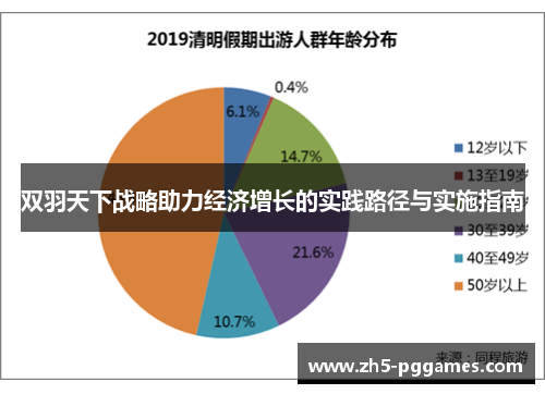 双羽天下战略助力经济增长的实践路径与实施指南