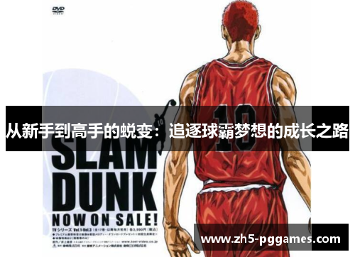 从新手到高手的蜕变：追逐球霸梦想的成长之路