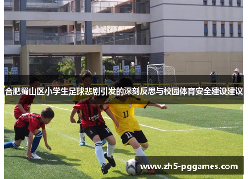 合肥蜀山区小学生足球悲剧引发的深刻反思与校园体育安全建设建议