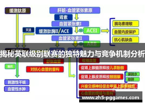 揭秘英联级别联赛的独特魅力与竞争机制分析 揭秘英联级别联赛的独特魅力与竞争机制分析