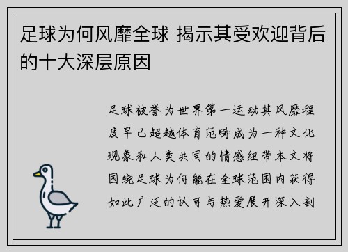 足球为何风靡全球 揭示其受欢迎背后的十大深层原因