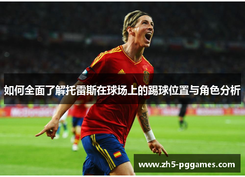 如何全面了解托雷斯在球场上的踢球位置与角色分析 如何全面了解托雷斯在球场上的踢球位置与角色分析
